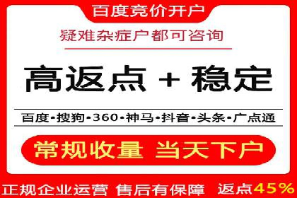 SEM推广竞价托管成功案例解析